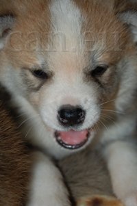 22 a teď si tam lehneš sám.jpg